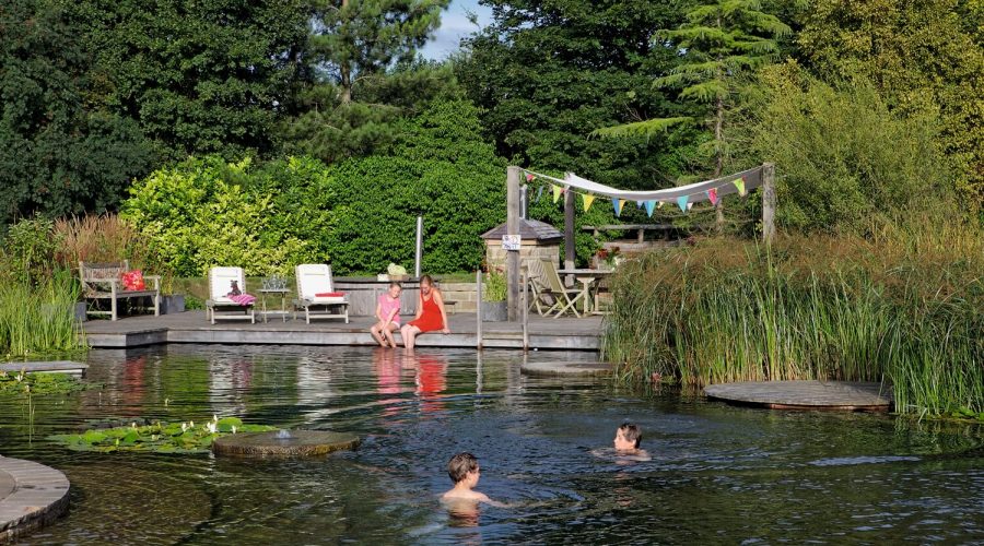 Piscinas ecológicas: crea en tu piscina un auténtico ecosistema